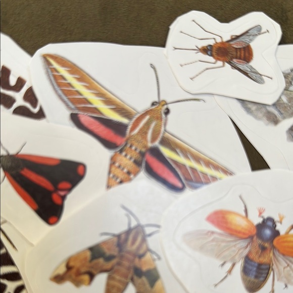 15 Colorful Insect Sticker Set - Picture 5 of 6